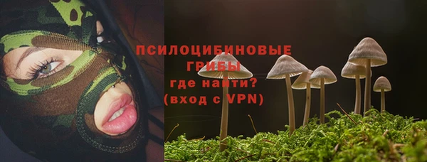 МДПВ Белокуриха