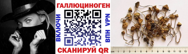 Галлюциногенные грибы MAGIC MUSHROOMS  Лабинск 